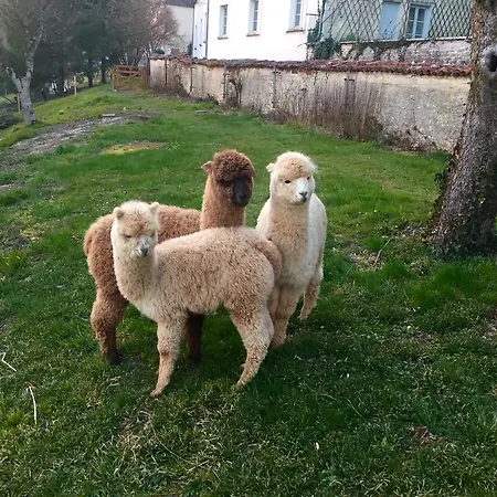Logis La Chaumière Hotel 3*