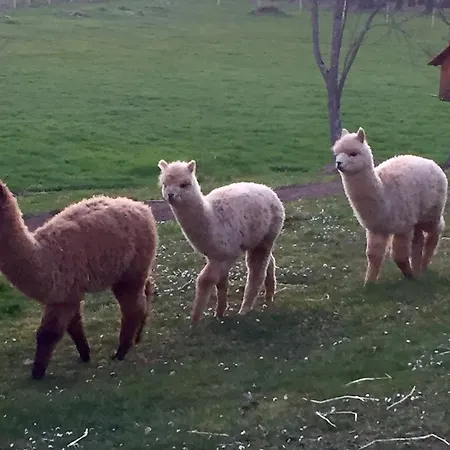 Logis La Chaumière 3*