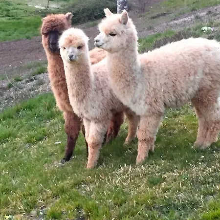 Logis La Chaumière Hotel 3*