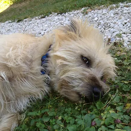 Logis La Chaumière 3*