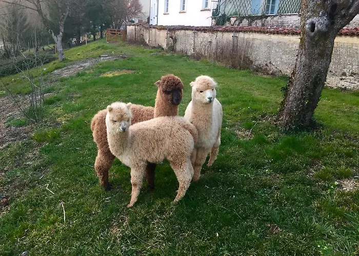 Logis La Chaumiere Hotel 3*